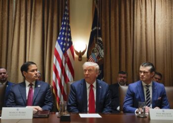 Trump Tells Cabinet They, Not Elon Musk, Have Hiring/Firing Authority – RedState