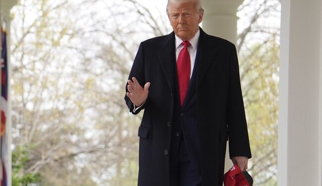 Trump Digs in to Replace Historic White House Tree – RedState