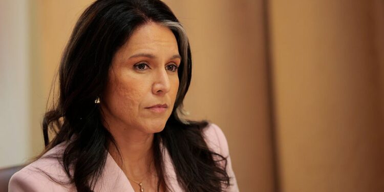 Tulsi Gabbard Reveals When Her Team Will Pinpoint Exact Moment Of COVID Lab Leak