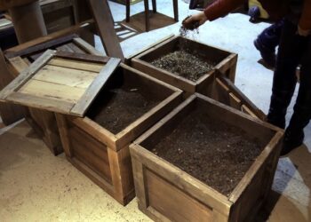 Erasing All Doubt Dems Fully Intend to Restrict You to Their Plantation the Second They Can – HotAir